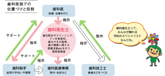 歯科医院での位置づけと役割